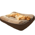 Cat/Dogs