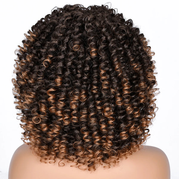 Curly Afro Wigs for Black Women Short Curly Wig with Bangs Kinky Curls Curly Hair Synthetic Wigs for African American Women