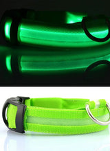Nylon LED Pet Dog Collar Dogs Luminous Fluorescent Collars Pet Supplies Night Safety Flashing Glow In The Dark Dog Leash