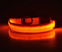Nylon LED Pet Dog Collar Dogs Luminous Fluorescent Collars Pet Supplies Night Safety Flashing Glow In The Dark Dog Leash