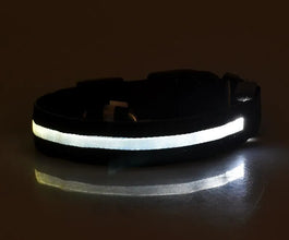 Nylon LED Pet Dog Collar Dogs Luminous Fluorescent Collars Pet Supplies Night Safety Flashing Glow In The Dark Dog Leash