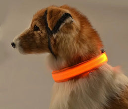 Nylon LED Pet Dog Collar Dogs Luminous Fluorescent Collars Pet Supplies Night Safety Flashing Glow In The Dark Dog Leash