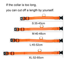Nylon LED Pet Dog Collar Dogs Luminous Fluorescent Collars Pet Supplies Night Safety Flashing Glow In The Dark Dog Leash