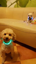 Nylon LED Pet Dog Collar Dogs Luminous Fluorescent Collars Pet Supplies Night Safety Flashing Glow In The Dark Dog Leash