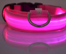 Nylon LED Pet Dog Collar Dogs Luminous Fluorescent Collars Pet Supplies Night Safety Flashing Glow In The Dark Dog Leash