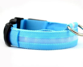 Nylon LED Pet Dog Collar Dogs Luminous Fluorescent Collars Pet Supplies Night Safety Flashing Glow In The Dark Dog Leash