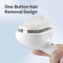 Pet Electric Massage And Hair Straightener Spray Brush