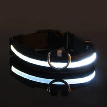 Nylon LED Night Safety Flashing Glow In The Dark Dog Leash Dogs Luminous Fluorescent Pet Dog Collar