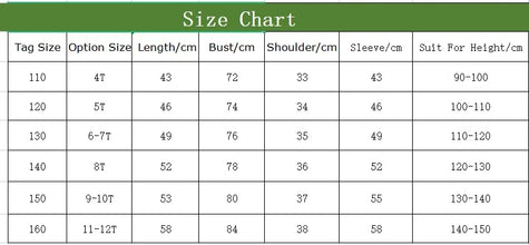 Boy's Sweatshirts +Pants Sports Sets Tracksuit