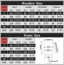 Women's Hoodies 2pcs Suit Tracksuit