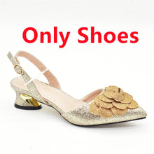 Ladies Shoe and Bag Set Latest Designers Luxury Italian Party Shoes and Bag Set for Women Rhinestone Wedding Bride Shoes Woman