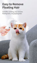 Pet Electric Massage And Hair Straightener Spray Brush