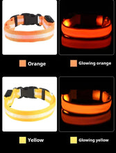 Dog Collar Nylon LED Night Safety Flashing Glow In The Dark Pet Dog Leash pet Dogs Luminous Fluorescent  dog accessories collar