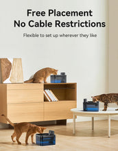 Wireless Automatic Cat Water Fountain 2600mAh Dispenser For Dog And Cat