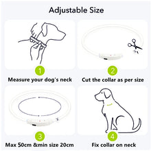 USB Rechargeable Luminous Collar Adjustable Led Glowing Dog Collar for Large Small Dogs Cat Night Light Collar Pet Safety Harnes