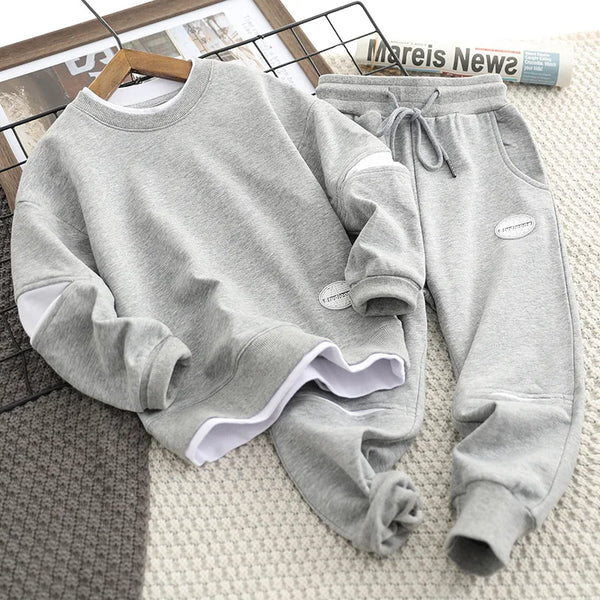 Boy's Sweatshirts +Pants Sports Sets Tracksuit