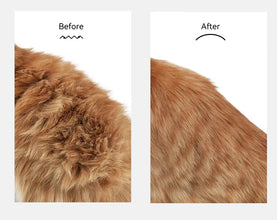 Pet Electric Massage And Hair Straightener Spray Brush