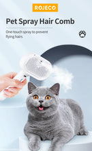Pet Electric Massage And Hair Straightener Spray Brush