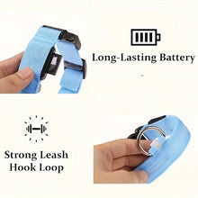 Nylon LED Night Safety Flashing Glow In The Dark Dog Leash Dogs Luminous Fluorescent Pet Dog Collar
