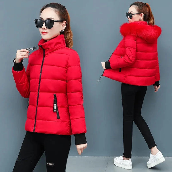 Women's Winter Padded Temperament Casual Down Cotton Jacket