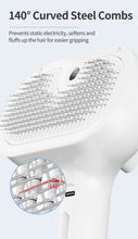 Pet Electric Massage And Hair Straightener Spray Brush