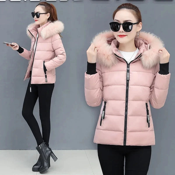 Women's Winter Padded Temperament Casual Down Cotton Jacket