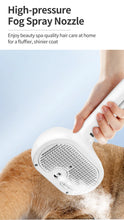 Pet Electric Massage And Hair Straightener Spray Brush